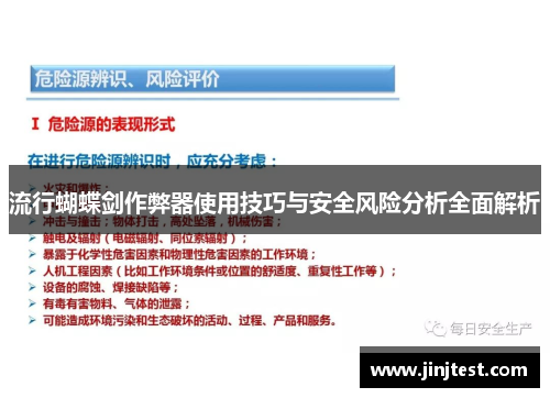 流行蝴蝶剑作弊器使用技巧与安全风险分析全面解析