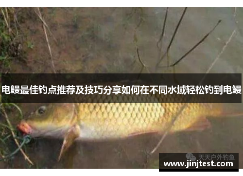 电鳗最佳钓点推荐及技巧分享如何在不同水域轻松钓到电鳗